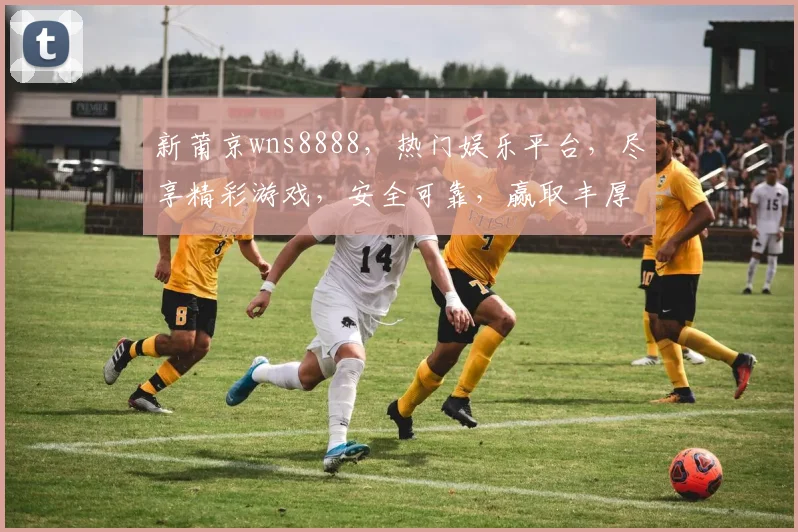 新莆京wns8888，热门娱乐平台，尽享精彩游戏，安全可靠，赢取丰厚奖金