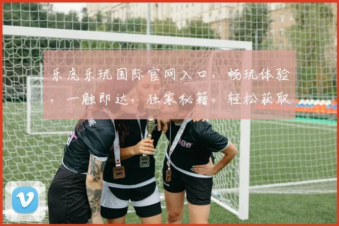 乐虎乐玩国际官网入口，畅玩体验，一触即达，独家秘籍，轻松获取，三步轻松登录
