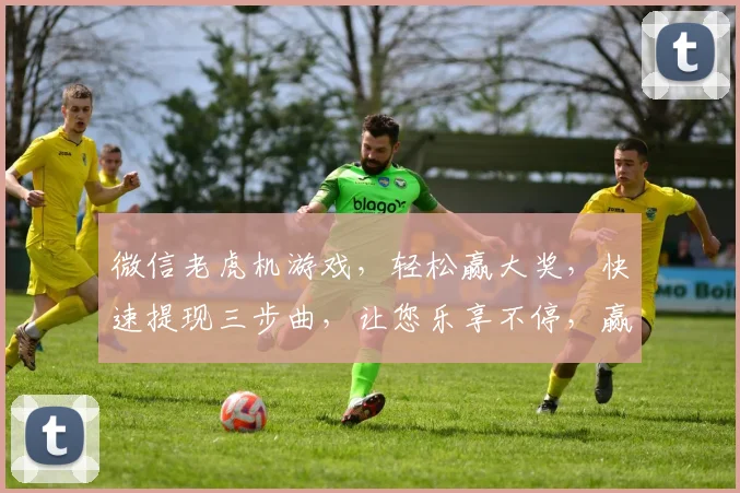 微信老虎机游戏，轻松赢大奖，快速提现三步曲，让您乐享不停，赢不停